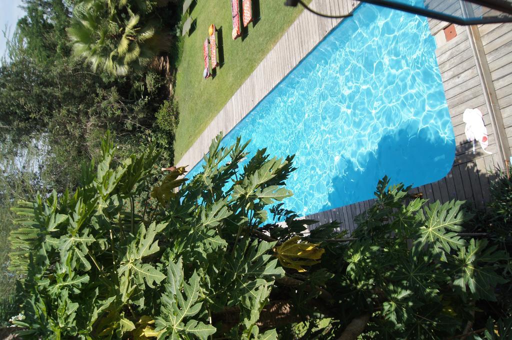 Meru House Lekisilai Arusha Buitenkant foto
